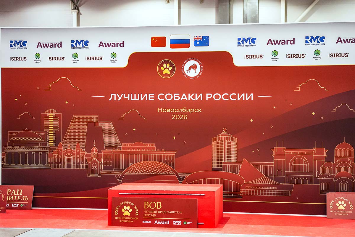 Региональные шоу чемпионов