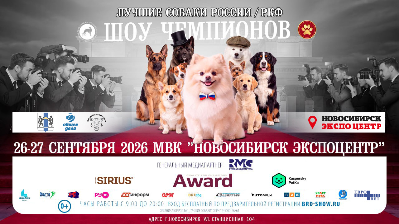 Лучшие собаки России в Новосибирске