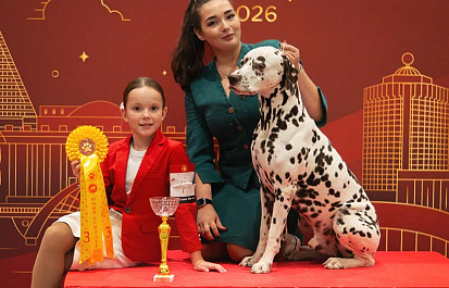 Региональные шоу чемпионов