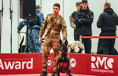 Региональные шоу чемпионов