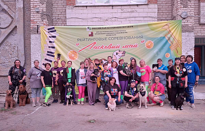 Приглашаем на соревнования по НоузВорк в Курске!