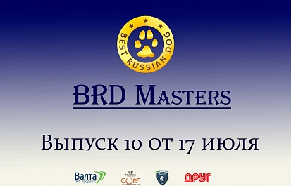 Best Russian Dog - Masters. Мастера груминга. Десятый выпуск с Валентиной Поповой