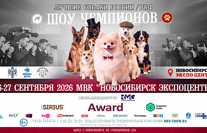Лучшие собаки России в Новосибирске