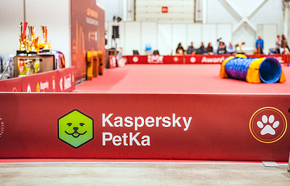 Региональные шоу чемпионов