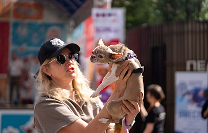 Счастливый и хвостатый фестиваль