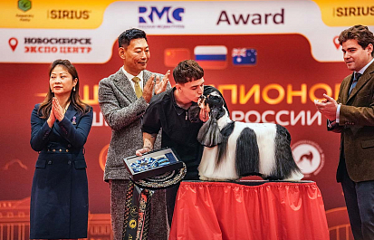 Региональные шоу чемпионов