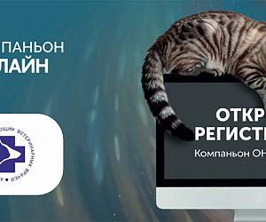 Компаньон ОНЛАЙН 2026. Вне границ и расстояний!