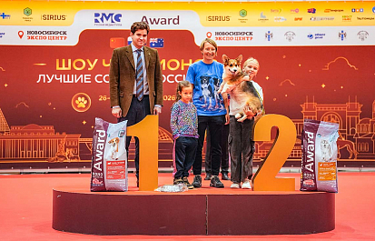 Региональные шоу чемпионов