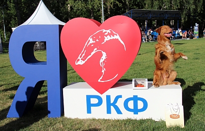 Международный день собак 2018 в парке «Сокольники»