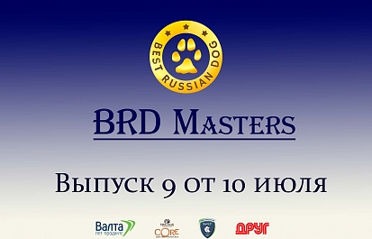 Best Russian Dog - Masters. Мастера груминга. Девятый выпуск с Валентиной Поповой