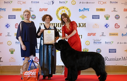 Звёзды 2020 в рейтинге Best Russian Dog