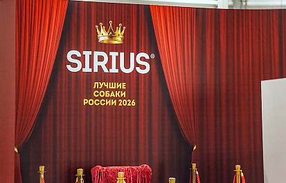 Региональные шоу чемпионов