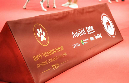 Региональные шоу чемпионов
