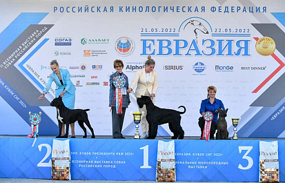 «Евразия-2022». С любовью к собакам!