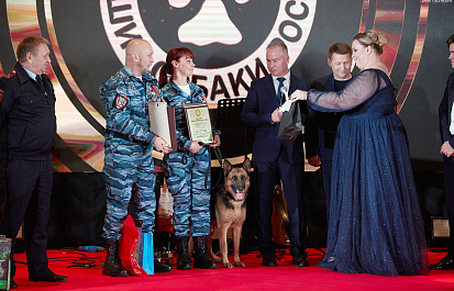 Лучшие собаки России — традиция праздника
