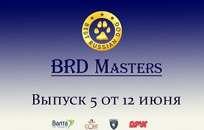 Best Russian Dog - Masters. Мастера груминга. Пятый выпуск с Екатериной Пикуль