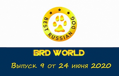 Best Russian Dog - World. Девятый выпуск