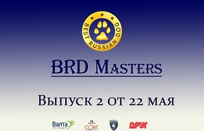 Best Russian Dog - Masters. Мастера груминга. Второй выпуск