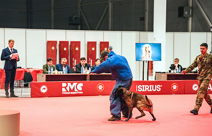 Региональные шоу чемпионов