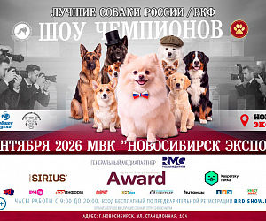 Лучшие собаки России в Новосибирске