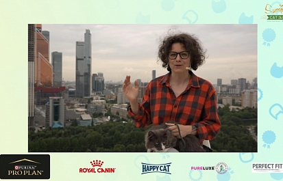 Впервые в России в онлайн формате состоялась мультисистемная  выставка кошек  «Summer Cat Show»
