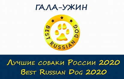 Трансляция церемонии награждения победителей рейтинга Best Russian Dog