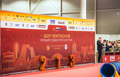 Региональные шоу чемпионов