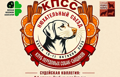 Приглашаем на соревнования по НоузВорк в Курске!