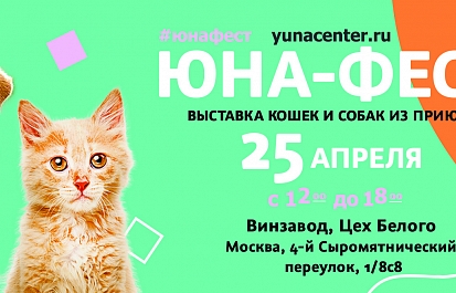 Выставка-пристройство собак и кошек из приютов