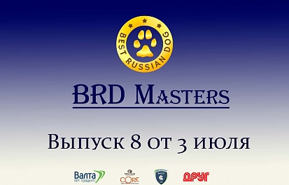 Best Russian Dog - Masters. Мастера груминга. Восьмой выпуск