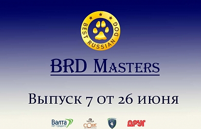 Best Russian Dog - Masters. Мастера груминга. Седьмой выпуск