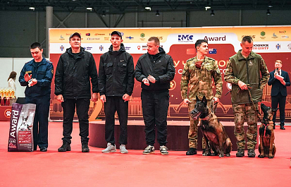 Региональные шоу чемпионов