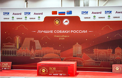 Региональные шоу чемпионов