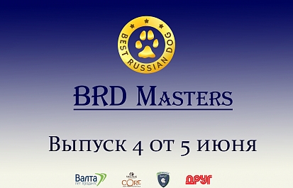 Best Russian Dog - Masters. Мастера груминга. Четвертый выпуск