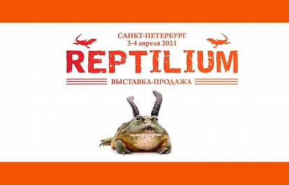 Рептилиум в Петербурге