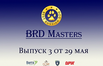 Best Russian Dog - Masters. Мастера груминга. Третий выпуск