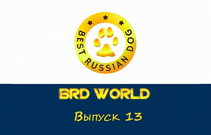 Best Russian Dog - World. Тринадцатый выпуск