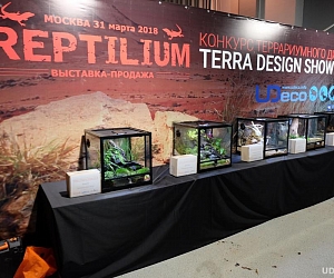 Выставка-продажа Рептилиум - новый уровень общения терариумистов