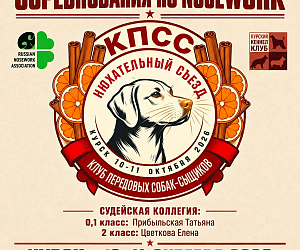 Приглашаем на соревнования по НоузВорк в Курске!