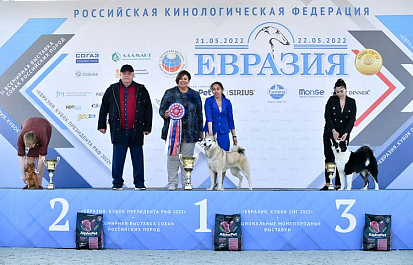 «Евразия-2022». С любовью к собакам!
