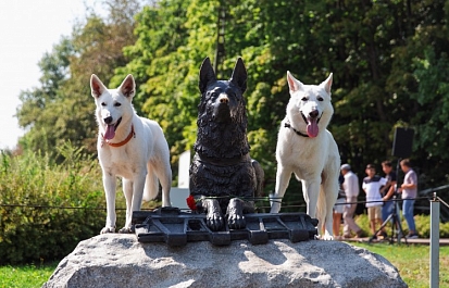 День фронтовой собаки в Музее Победы