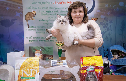 Выставка кошек Felina Belissima